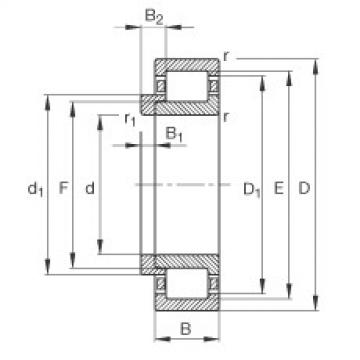 roulements NJ2222-E-TVP2 + HJ2222-E FAG