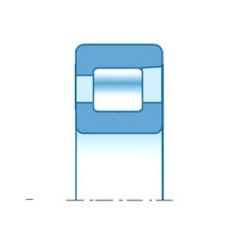 roulements NFV28/800 NTN