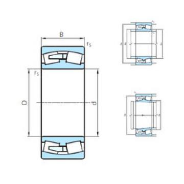 roulements 24036CW33MB PSL