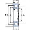 roulements 7007 CE/HCP4A SKF