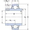 roulements YAR 207-107-2FW/VA228 SKF