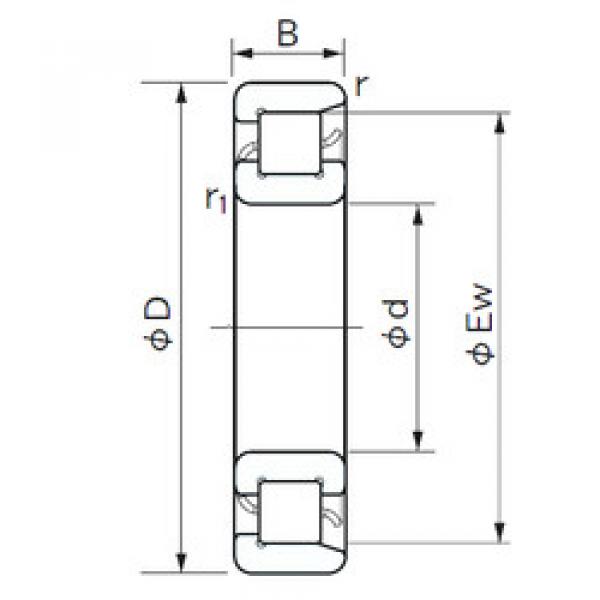 roulements NF 1030 NACHI #1 image