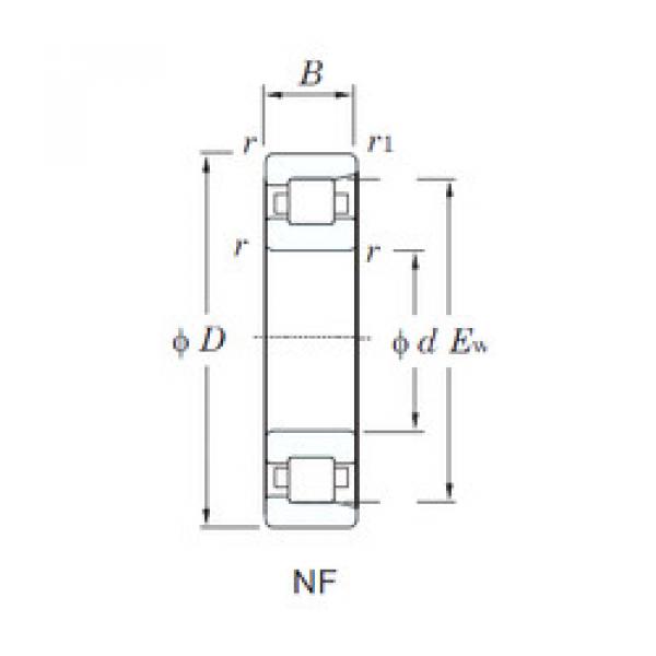 roulements NF236 KOYO #1 image