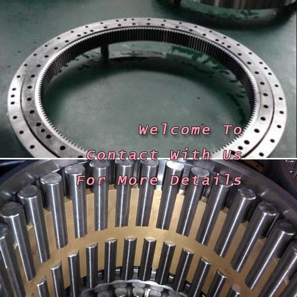 90RIN396 Single Row Cylindrical Roller Bearing 228.6x368.3x50.8mm #1 image