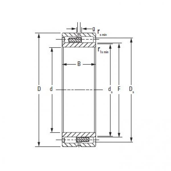  NNU4080MAW33 TIMKEN #1 image